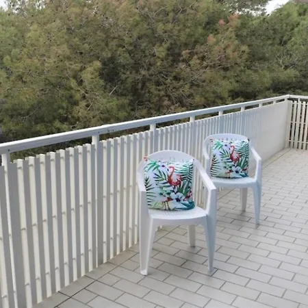 Fantastic With Sea View - Place Included *